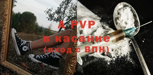 PSILOCYBIN Баксан